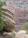 IMG_9436 -Medium.JPG
