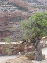 IMG_9439 -Medium.JPG