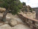 IMG_9446 -Medium.JPG