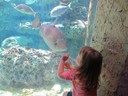 IMG_3858.jpg
