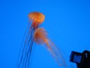IMG_3991.jpg