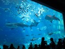 IMG_4157.jpg