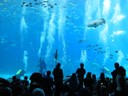 IMG_4187.jpg