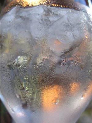 IMG_6459 -Medium.jpg