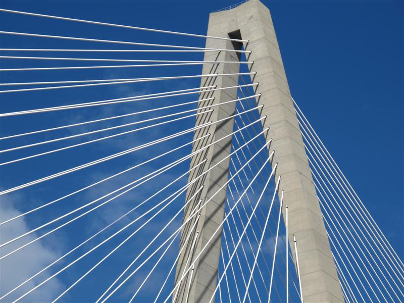 IMG_6589 -Medium.jpg