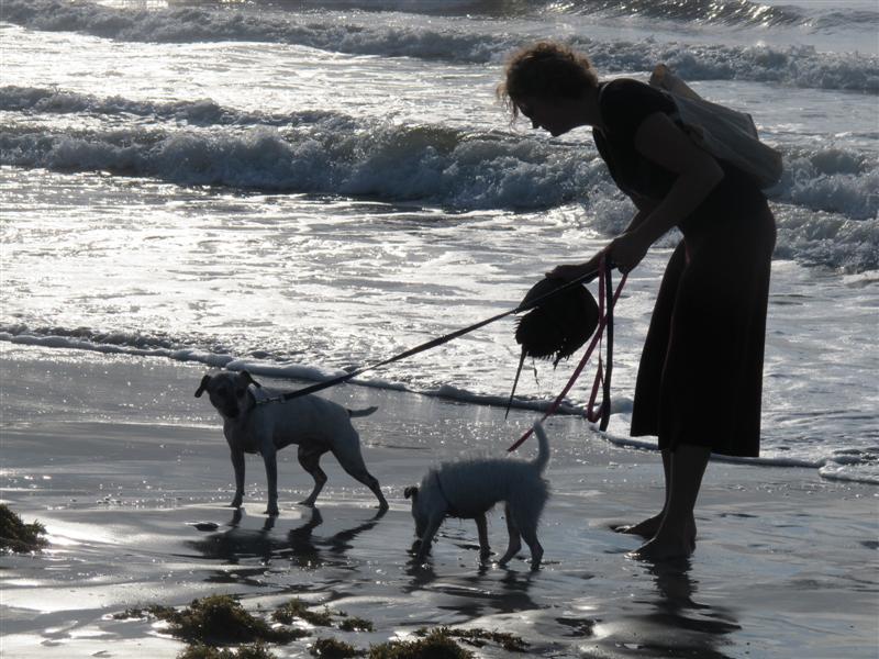 IMG_6680 -Medium.jpg