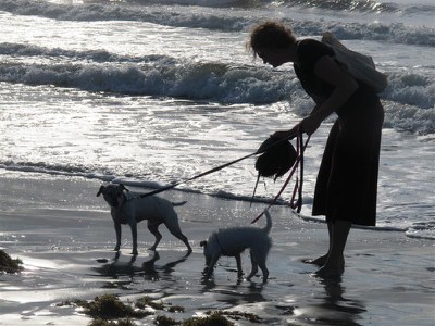 IMG_6680 -Medium.jpg