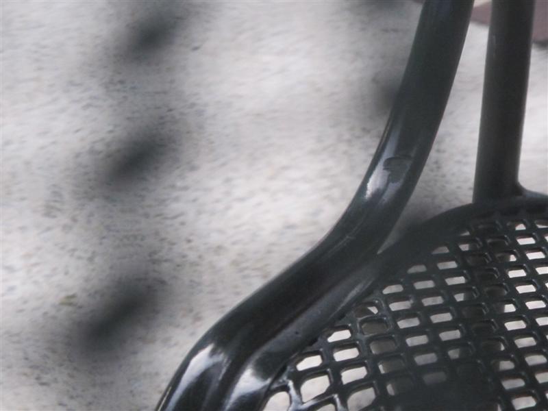 IMG_6740 -Medium.jpg