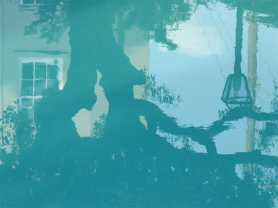 IMG_6750 -Medium.jpg