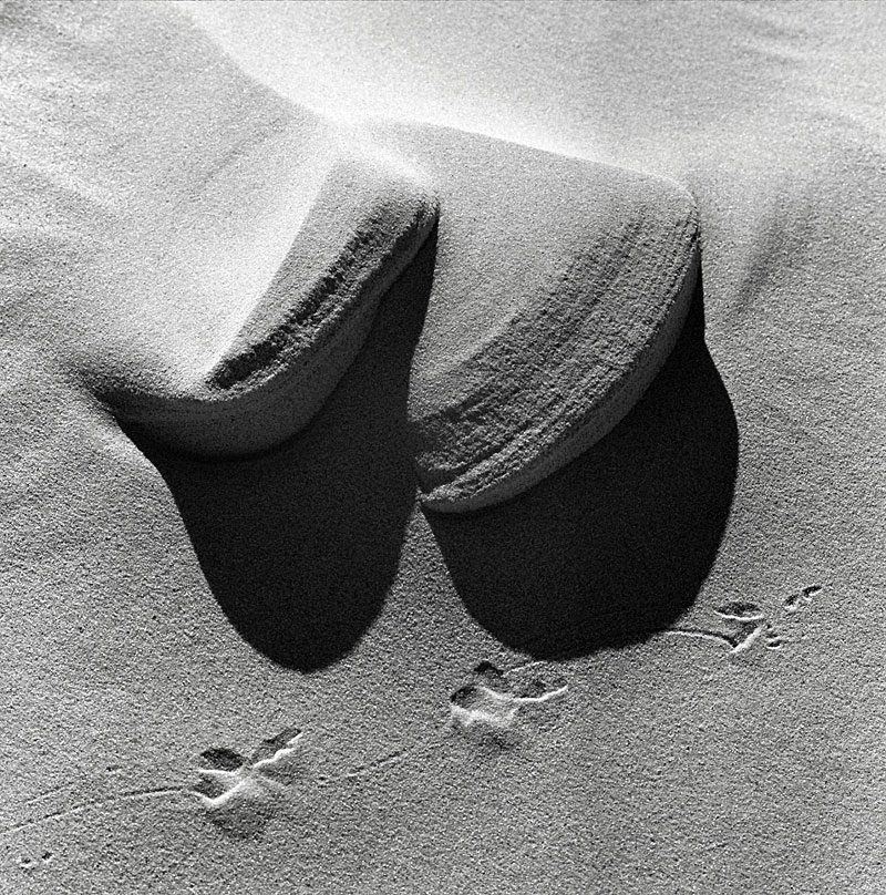 0020-web.jpg