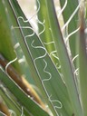 IMG_7721.JPG