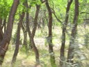 IMG_7781.JPG