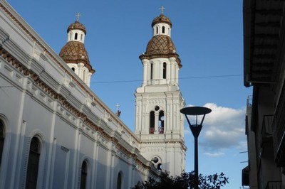 P1030397.jpg