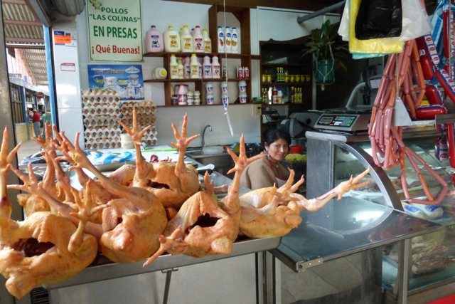 P1010528.jpg
