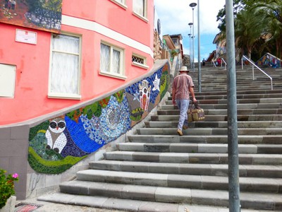 P1010551.jpg