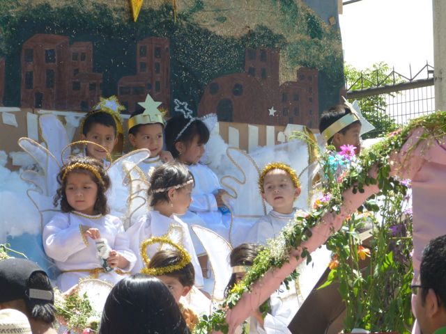 P1020275.jpg