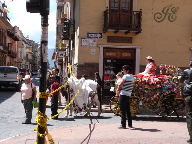 P1020693.jpg