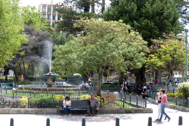 P1040551.jpg